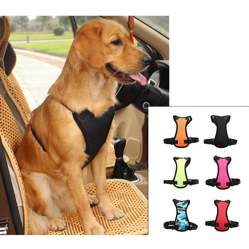 Car Seat Belts for Pets