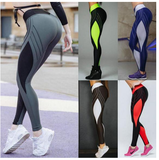 SPORT JENNINGS LEGGINGS